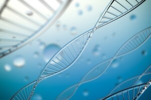 康方生物(09926.HK)：公司HARMONi-6/AK112–306的研究结果在ESMO上发布