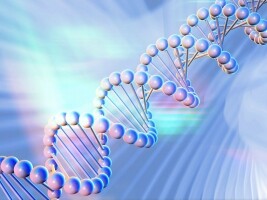 和誉-B(02256.HK)：公布两款管线项目最新临床前研究成果，表现出优异临床前特性