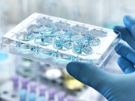 山东新华制药股份(00719.HK)：公司利丙双卡因乳膏获得《药品注册证书》