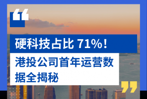 硬科技占比 71%！港投公司首年运营数据全揭秘 - 新时空