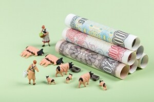 中粮家佳康(01610.HK)：2025年生猪出栏603.3万头，累计生鲜猪肉销量34.12万吨