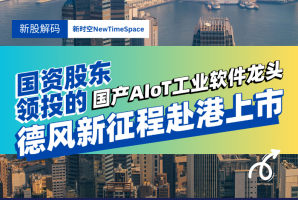 国资股东领投的国产AIoT工业软件龙头，德风新征程赴港上市