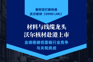 新时空 | 打新快报：沃尔核材（09981.HK） - 新时空