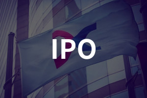 NewTimeSpace | IPO Decoding: TAILG Technology - A Pioneer in the Long-Range E-Scooter Track, Striving for Balance Between Certainty and Vulnerability - NewTimeSpace