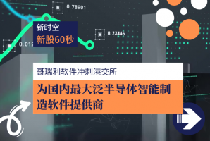 新时空 | 新股60秒：哥瑞利软件 - 新时空