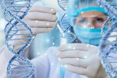 NewTimeSpace | CF PharmTech (02652.HK) Shares Rebound on R&D Breakthrough; High Valuation Overshadowed by 90%+ Reliance on Single Product - NewTimeSpace