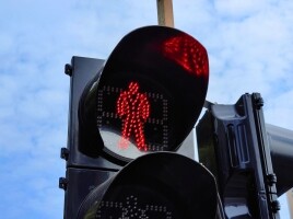 志道国际(01220.HK)：发布暂停买卖季度更新，法证及内控审查仍在进行