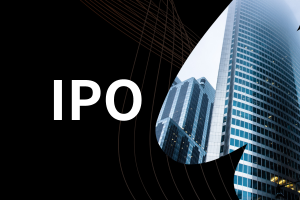 瑞为技术(07656.HK)：启动港股IPO，发售价每股21.66港元