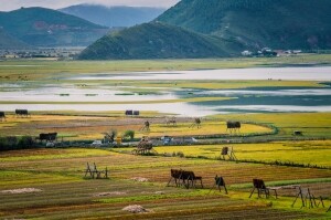 中广核电力(01816.HK)：惠州2号机组具备商业运营条件，在运机组增至31台